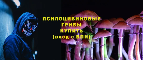 2c-b Медногорск