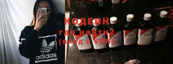 ГАЛЛЮЦИНОГЕННЫЕ ГРИБЫ Михайлов