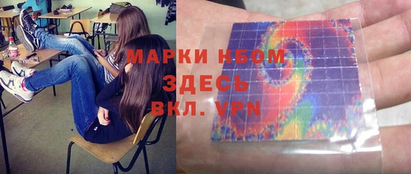 ГАЛЛЮЦИНОГЕННЫЕ ГРИБЫ Михайлов
